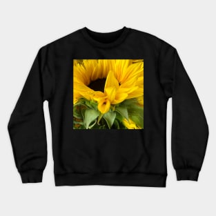 Sunflowers for Peace and Stability in Ukraine Crewneck Sweatshirt